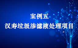 漢壽垃圾滲濾液處理項(xiàng)目